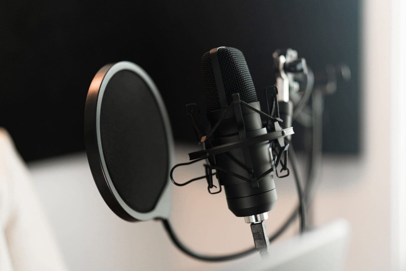 Professional recording microphone setup