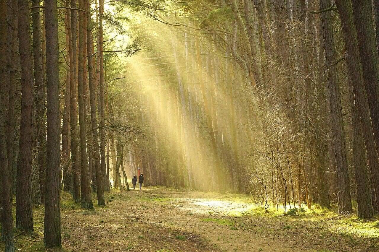 When is Following Your Heart Actually Safe?