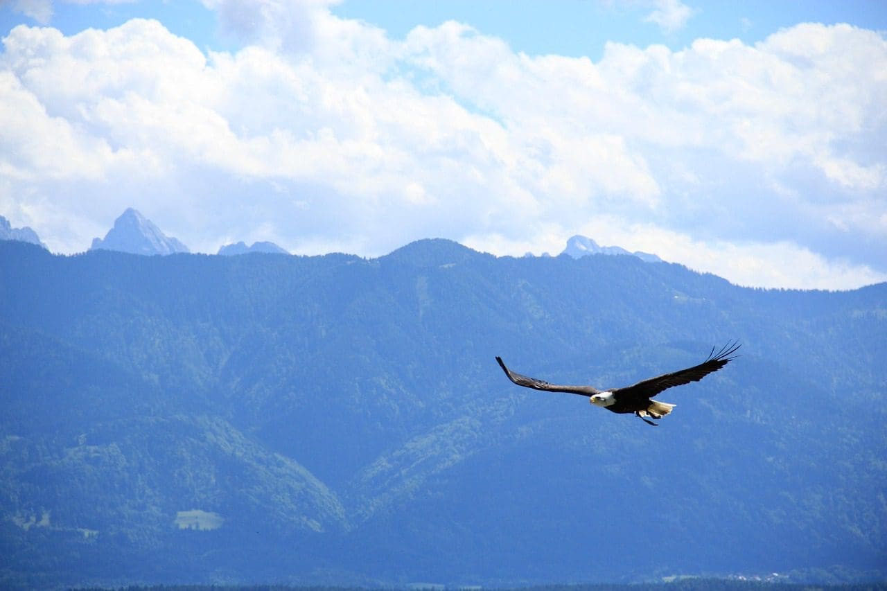 The Problem with Abundant Life