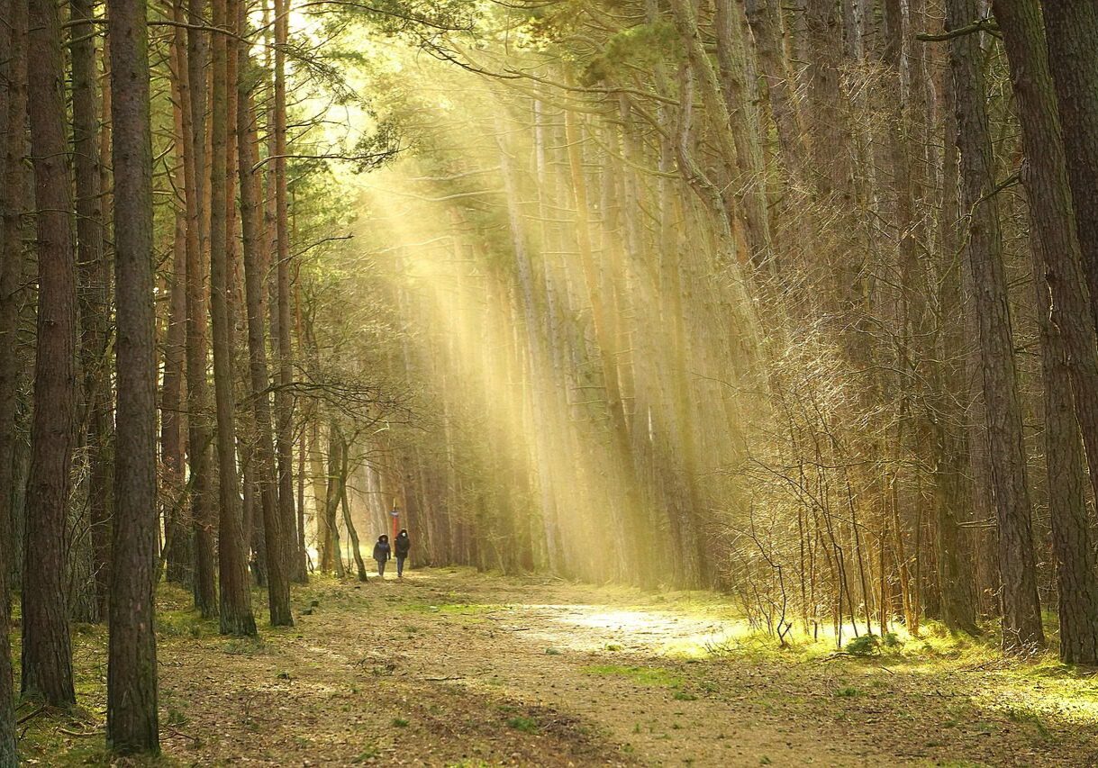 When is Following Your Heart Actually Safe?